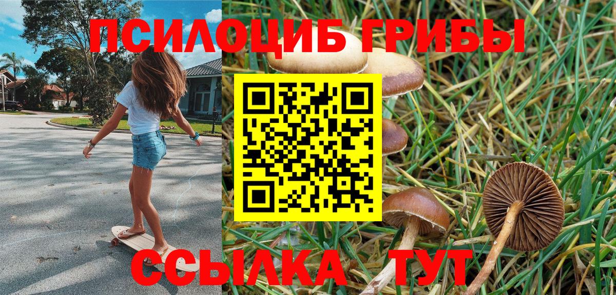 Галлюциногенные грибы GOLDEN TEACHER Корсаков