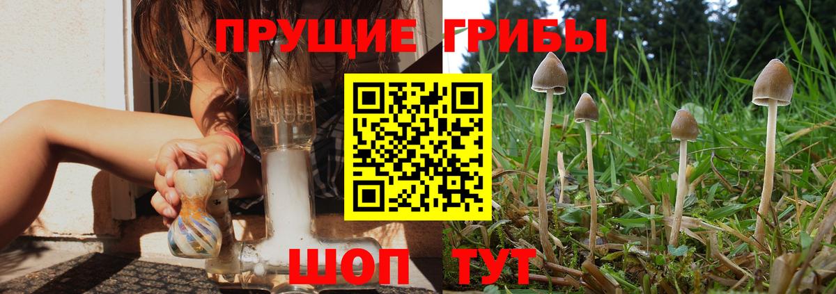 дарнет шоп  Вход с VPN  Корсаков  Галлюциногенные грибы мицелий 