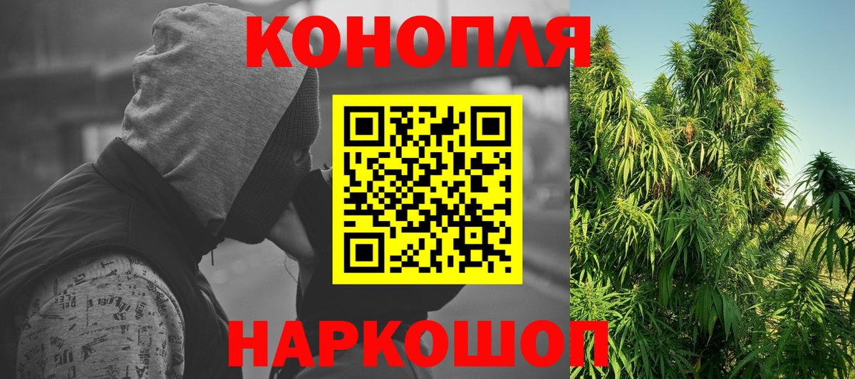 Канабис планчик Корсаков